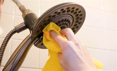 How To Clean Shower Head Step By Step Guide M2b