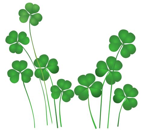 How To Draw A Shamrock Step By Step For Kids And Beginners