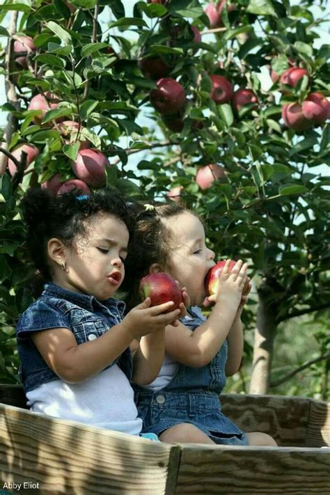 Eating Freshly Picked Apple In The Apple Farm Theyre So Adorable