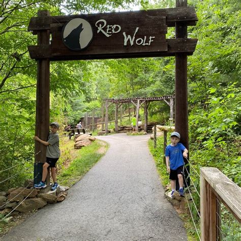 Western North Carolina Nature Center 16 Tips From 1006 Visitors