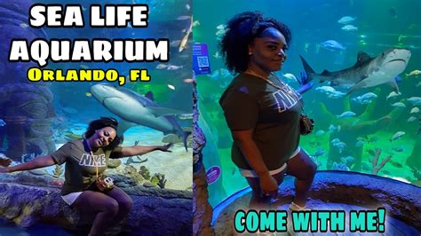 Sea Life Aquarium At Icon Park In Orlando Fl Youtube