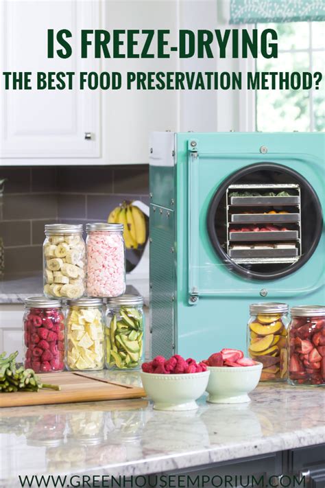 Is Freeze Drying The Best Food Preservation Method