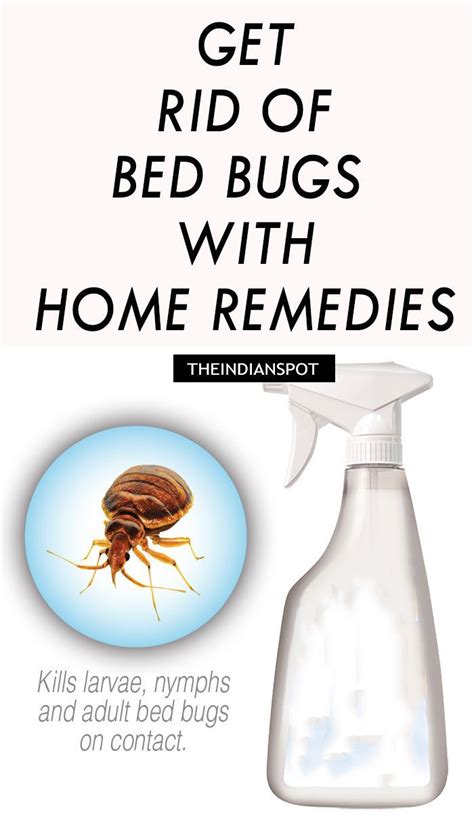 Pin By Zebi Zebi On Tips Rid Of Bed Bugs Bed Bug Remedies Rid Of Bed Bugs Bed Bugs Bed Bug