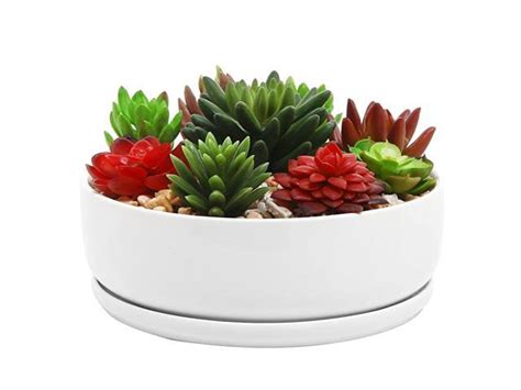 Inch Modern White Ceramic Round Succulent Planter Pot With Removable