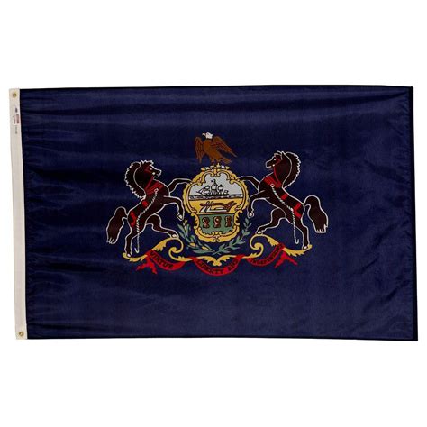 Valley Forge Flag 3 Ft X 5 Ft Nylon Pennsylvania State Flag Pa3 The