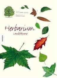 Es dient der dokumentation und präsentation ausgewählter bestände. herbarium deckblatt - Google-Suche | Pflanzen, Deckblatt ...