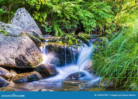 Relaxing Landscape Of A River With Water Flowing Between The Stones And