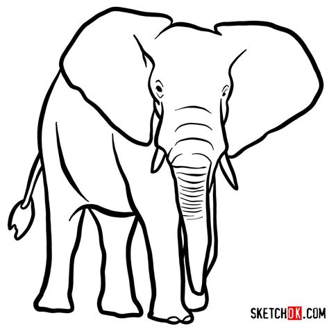 Simple Elephant Drawing Images Valentine Hidalgo