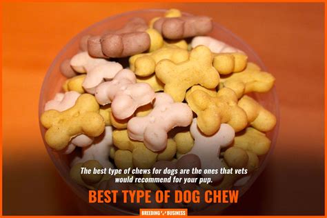 10 Best Vet Recommended Dog Chews Texture Flavor Reviews And Faq