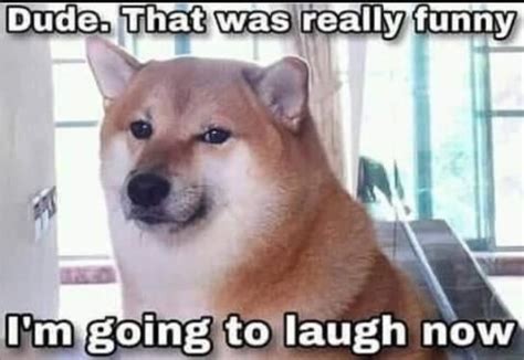15 Best Shiba Inu Memes Of All Time Page 4 Of 5 The Dogman