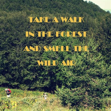 Take A Walk In The Forest And Smell The Wild Air Hiking Quotes