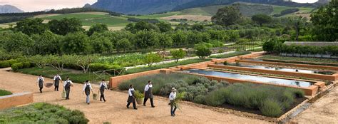 Cockroaches are very common throughout cape town. The Best Family-Friendly Cape Town Wine Farms - Timeless ...