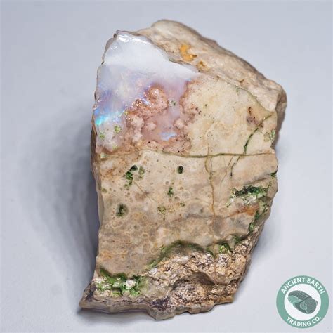 146 In White Opal Thunderegg Idaho Minerals Natural History