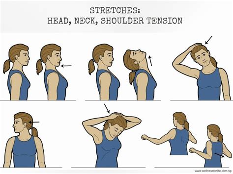 Wellness For Life Chiropractic Stretches For Muscle Tension
