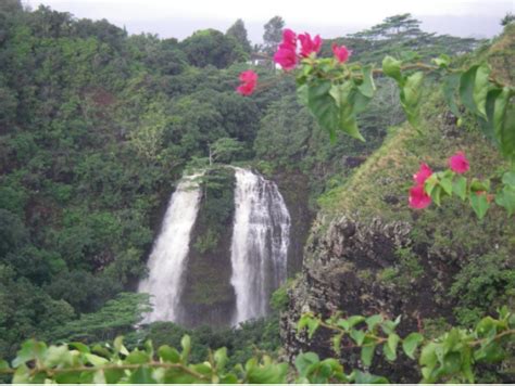 Mount Waialeale Rainforest Hike Easy To Moderate Kauai Tours