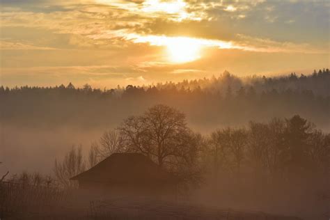 Free Images Landscape Tree Nature Forest Cloud Sky Sun Fog