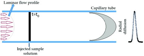 Schematic Representation Of The Dispersion Technique Download