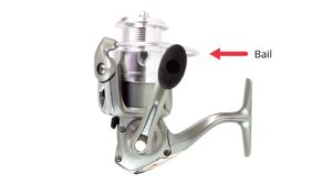 My Fishing Reel Spins Both Ways How To Fix It Live For Fishing