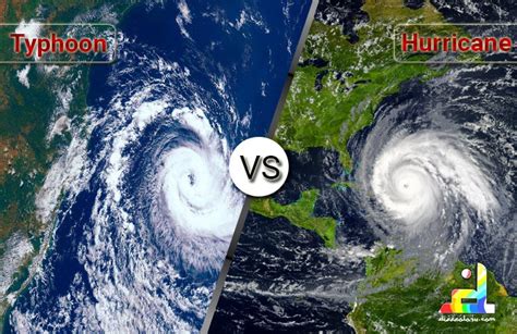 Difference Between Typhoon And Hurricane Diffeology