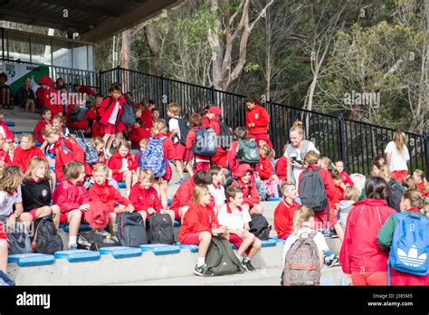 Primary School Australian Children Participating In Their Primary