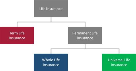 Term Life Insurance Vs Whole And Universal Life Insurance Policies