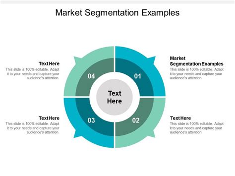 Market Segmentation Examples Ppt Powerpoint Presentation Infographic