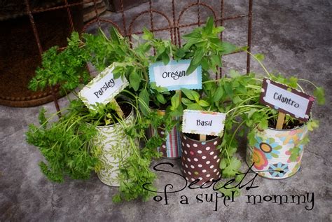 Secrets Of A Super Mommy Earth Day Herb Garden