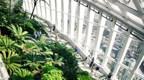 Biophilic Design Aims To Connect Us To Nature When We Are Indoors
