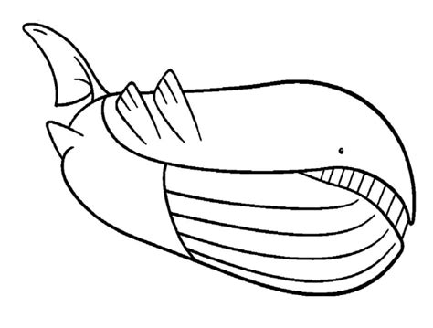 Free Wailord Pokemon Coloring Page Free Printable Coloring Pages For Kids