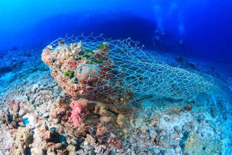 An Abandoned Fishing Net Ghost Net Stuck On A Tropical Coral Reef