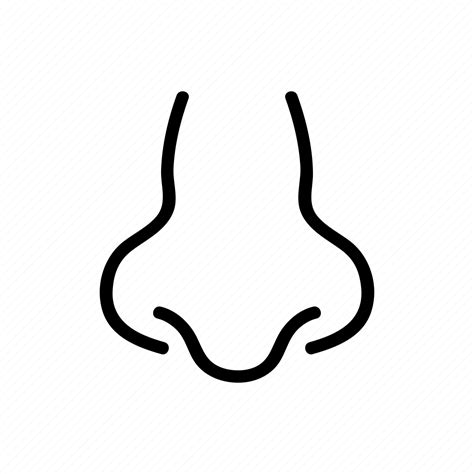 Face Front Human Nose Organ Outline View Icon Download On