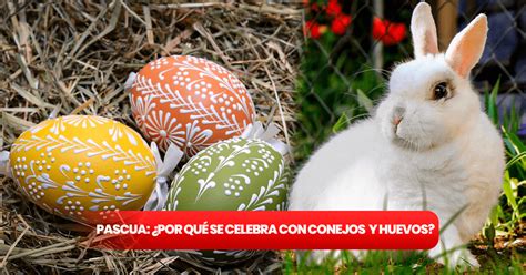 Pascua En Estados Unidos Por Qué Se Conmemora Con Conejos Y Huevos