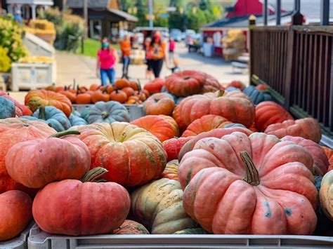 Pumpkin Patches Near Me: Pittsburgh Pumpkin Patches 2020