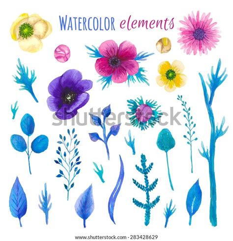 Watercolor Blossom Floral Set Hand Painted Stock Vector Royalty Free