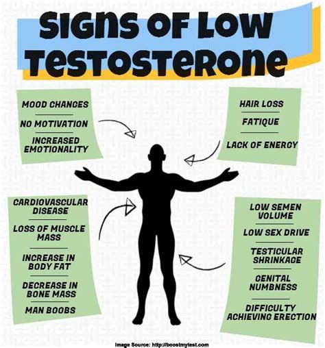Low Testosterone Symptoms 17 Signs You Need To Look Out For
