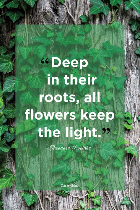 Beautiful Quotes About The Power Of Nature Mother Nature Quotes