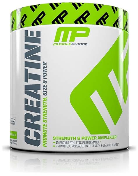 A Buying Guide Of The Best Creatine For Women