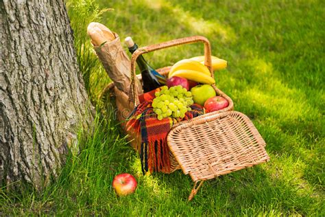 Wicker Picnic Basket With Fruits And Bottle Of Wine Notebook And