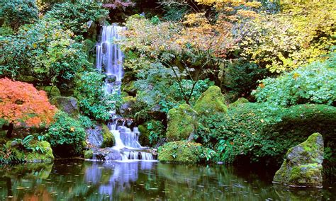 Become a member or donor. Portland Japanese Garden | The Official Guide to Portland