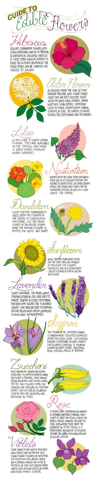 A Guide To Edible Flowers