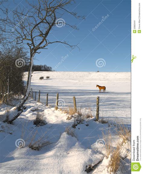 Winter North Yorkshire England Stock Image Image Of