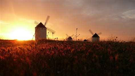 Sunset Windmills Field Wallpapers Hd Desktop And Mobile Backgrounds