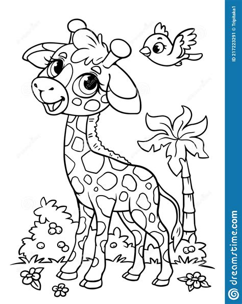 Giraffe Little Kid Coloring Book Black And White Outline Zoo Animals