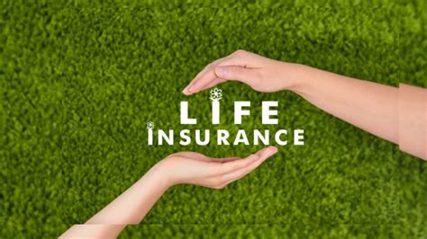 Life Insurance How Does Life Insurance Works Types Of Life Insurance