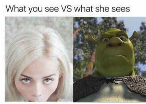 shrek for love shrek for life meme by snipercammande memedroid vrogue