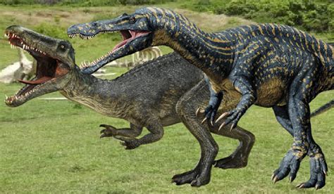 Baryonyx Vs Suchomimus In 2023 Fighter Giants