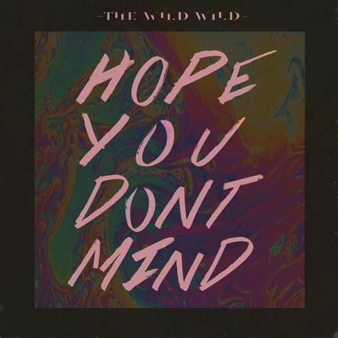 Hope You Dont Mind Single By The Wild Wild Spotify