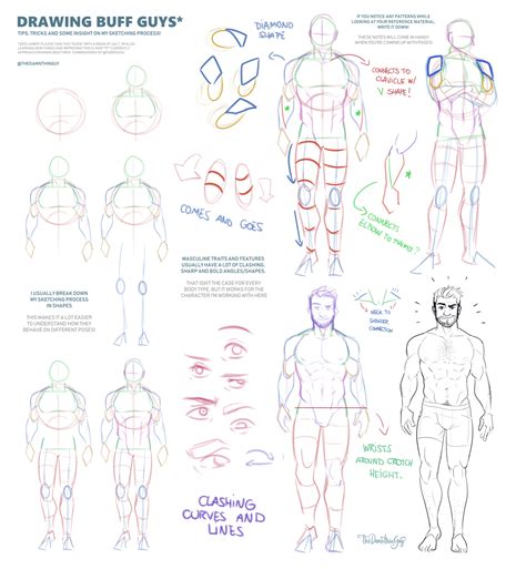 Male Anatomy Drawing Easy Life Educations