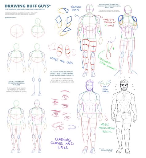 This male anatomy reference pack features 22 x reference poses. Male Anatomy Tips by TheDamn-ThinGuy | Drawing tutorial ...