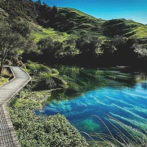 Blue Spring At Te Waihou Walkway Places To Visit Most Beautiful